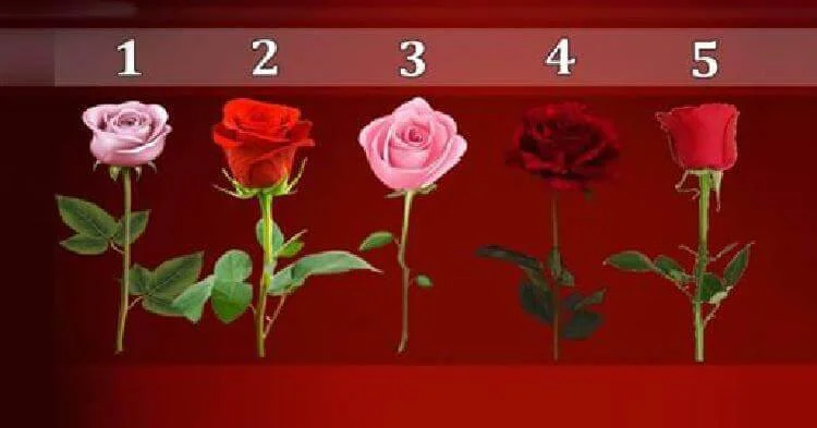 ტესტი: გვითხარი რომელ ვარდს ირჩევ და ჩვენ გეტყვით როდის აგიხდება სურვილები
